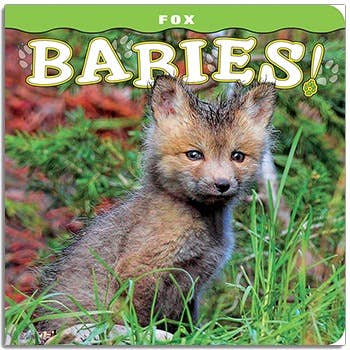 Fox Babies